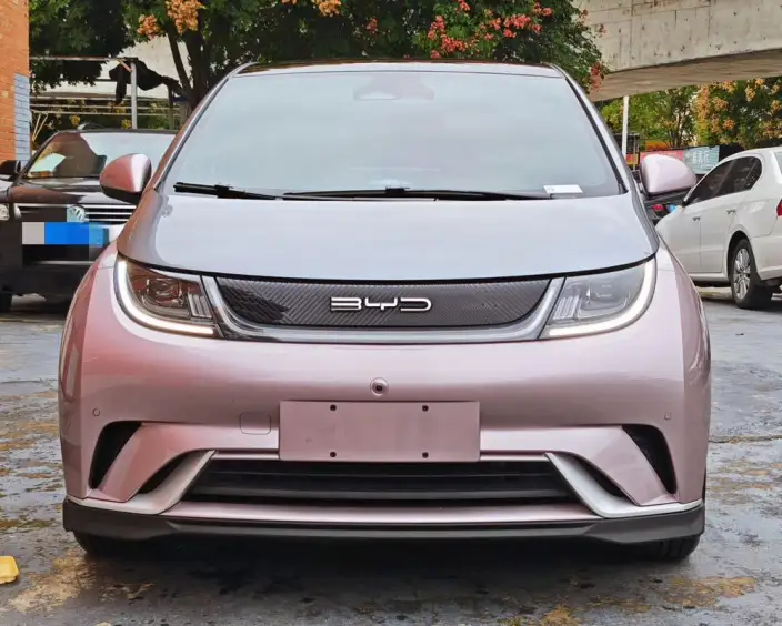 BYD Dolphin 2023 Model Knight Edition – фото 2