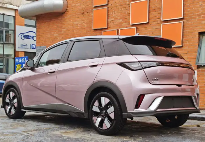BYD Dolphin 2023 Model Knight Edition – фото 4