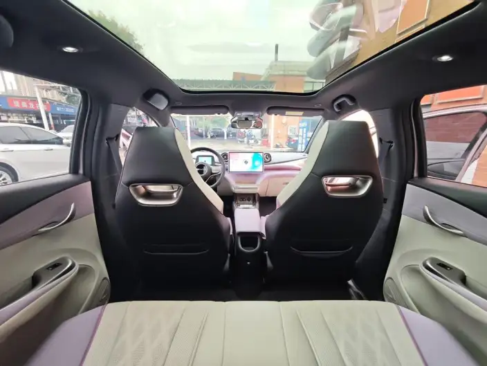 BYD Dolphin 2023 Model Knight Edition – фото 5