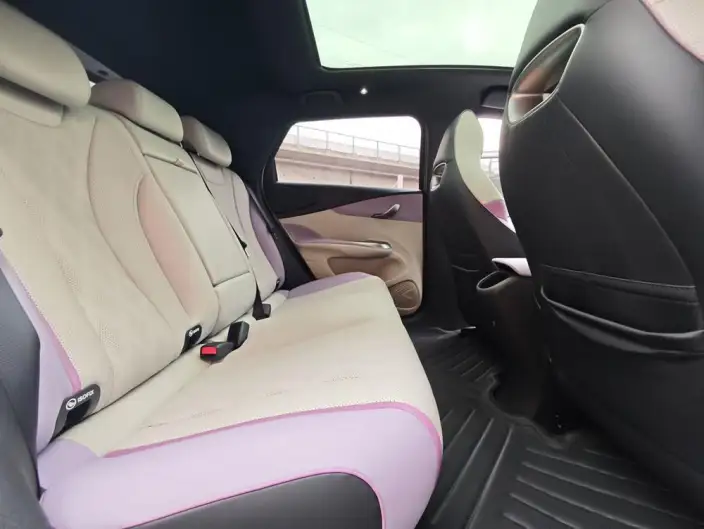 BYD Dolphin 2023 Model Knight Edition – фото 7