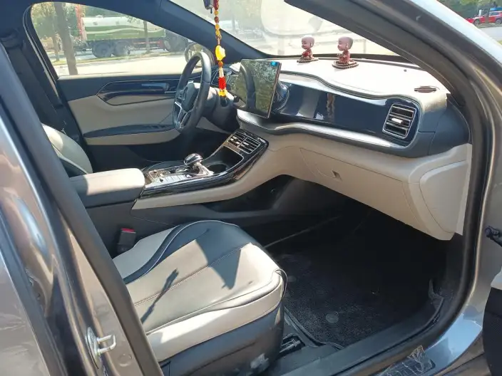 Qin Plus EV 2021 Model 500KM Noble Model – фото 9