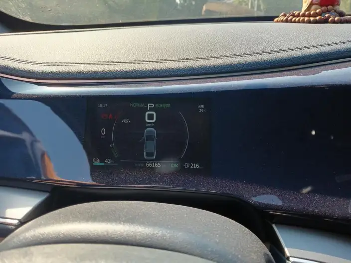 Qin Plus EV 2021 Model 500KM Noble Model – фото 10