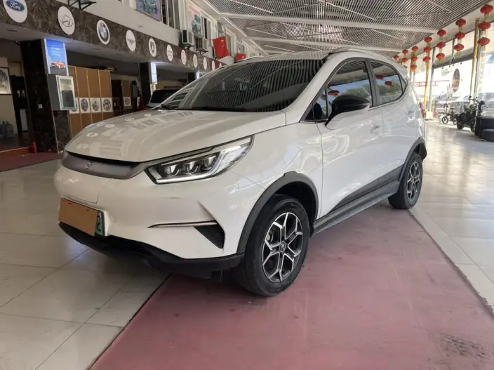 Yuan Pro 2021 Model 401KM Luxury Model – фото 1