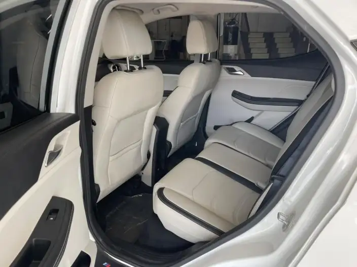 Yuan Pro 2021 Model 401KM Luxury Model – фото 9