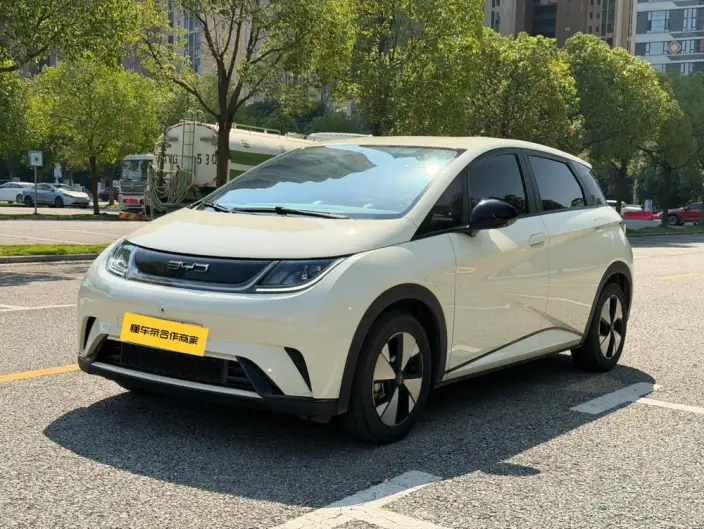 BYD Dolphin 2023 Model Free Edition