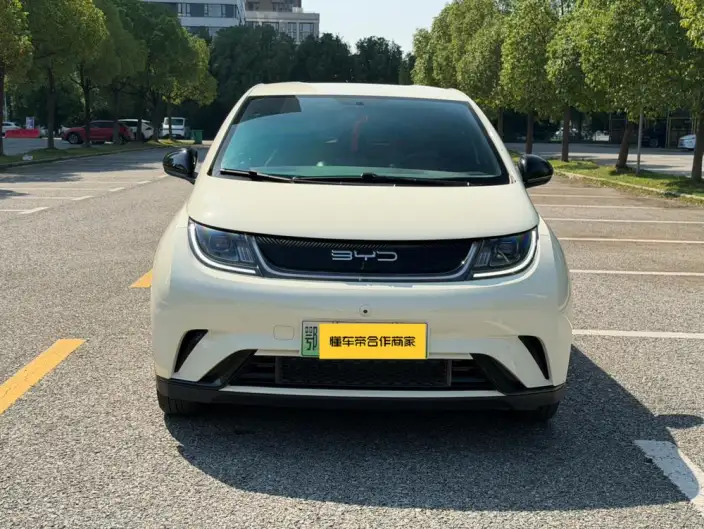 BYD Dolphin 2023 Model Free Edition