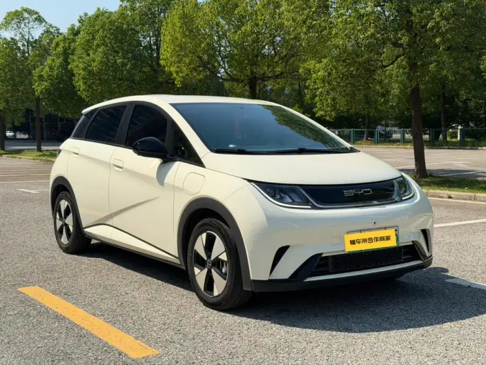 BYD Dolphin 2023 Model Free Edition