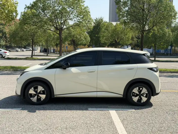 BYD Dolphin 2023 Model Free Edition