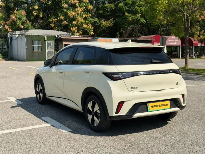 BYD Dolphin 2023 Model Free Edition – фото 5