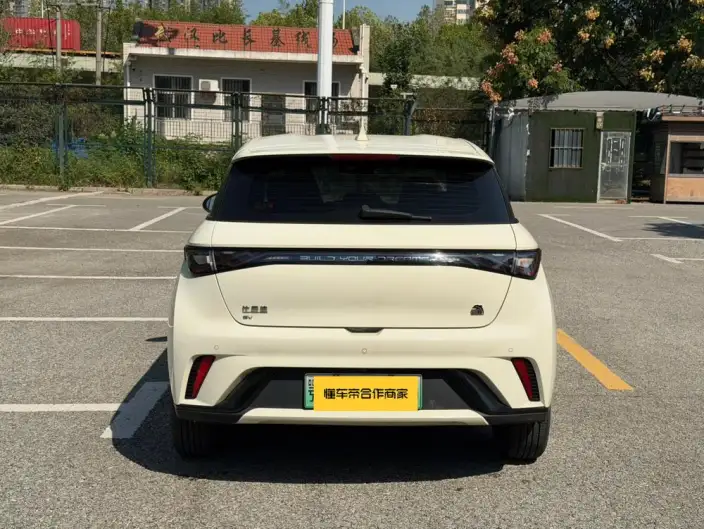 BYD Dolphin 2023 Model Free Edition – фото 6