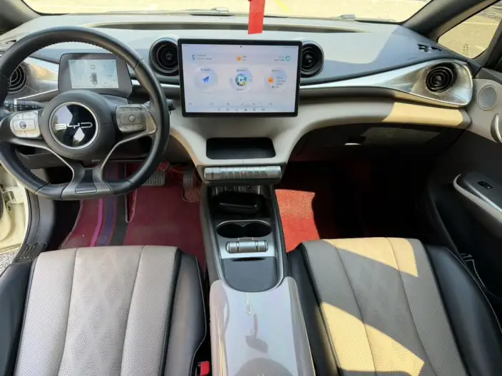 BYD Dolphin 2023 Model Free Edition – фото 9