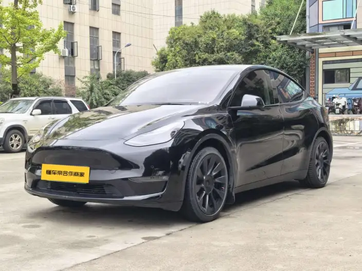 Model Y 2021 Model Standard Battery Life Rear-wheel drive version – фото 1