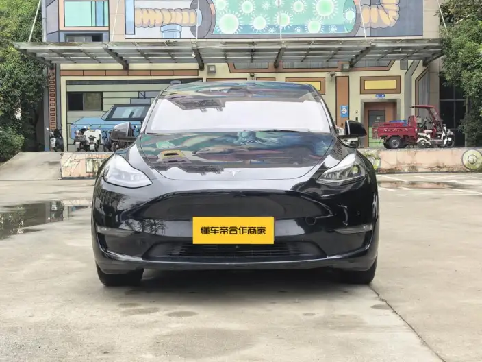 Model Y 2021 Model Standard Battery Life Rear-wheel drive version – фото 2
