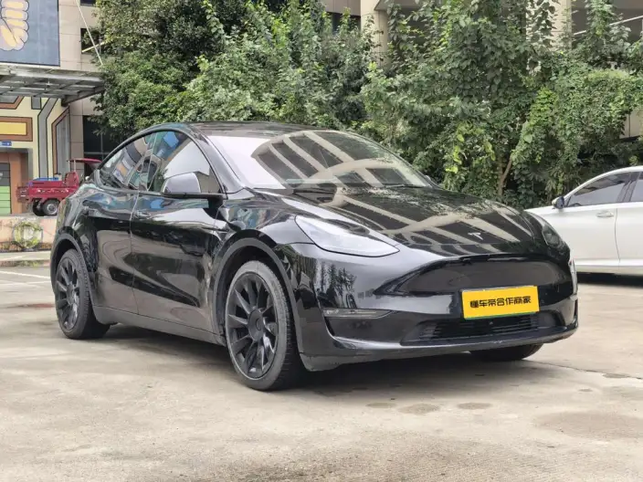 Model Y 2021 Model Standard Battery Life Rear-wheel drive version – фото 3