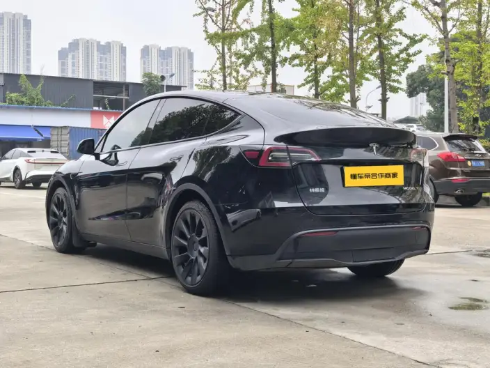 Model Y 2021 Model Standard Battery Life Rear-wheel drive version – фото 4