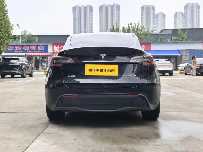 Model Y 2021 Model Standard Battery Life Rear-wheel drive version – фото 5