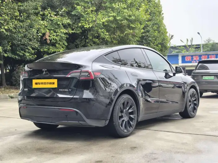 Model Y 2021 Model Standard Battery Life Rear-wheel drive version – фото 6