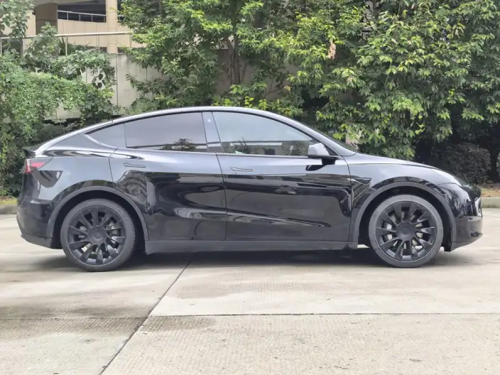 Model Y 2021 Model Standard Battery Life Rear-wheel drive version – фото 7