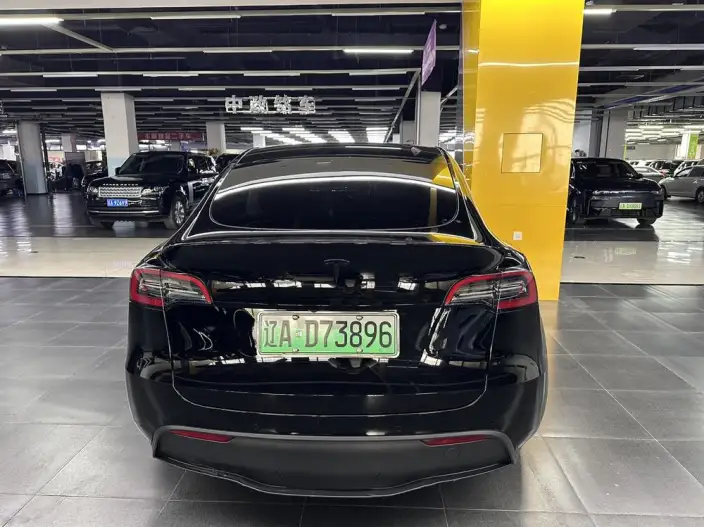 Model Y 2022 Model Facelift Rear-wheel drive version – фото 5