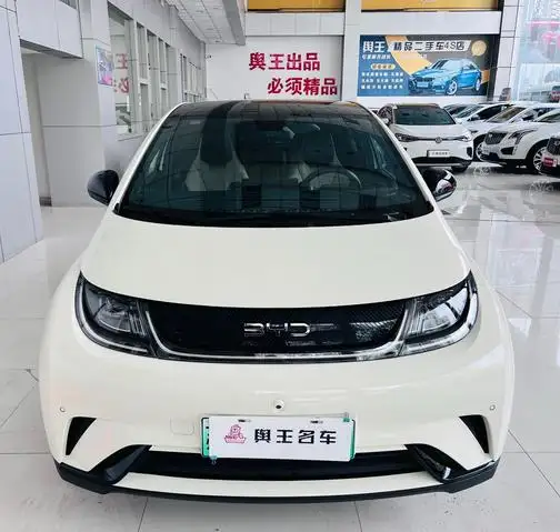 BYD Dolphin 2024 Model Honor Edition 420km Fashion Edition