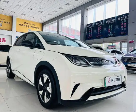 BYD Dolphin 2024 Model Honor Edition 420km Fashion Edition