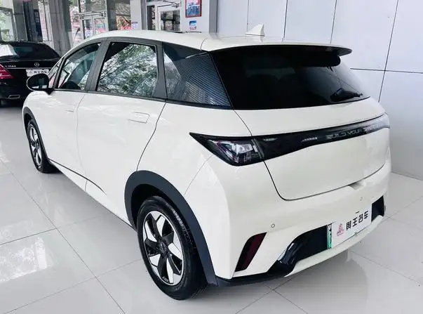 BYD Dolphin 2024 Model Honor Edition 420km Fashion Edition – фото 5