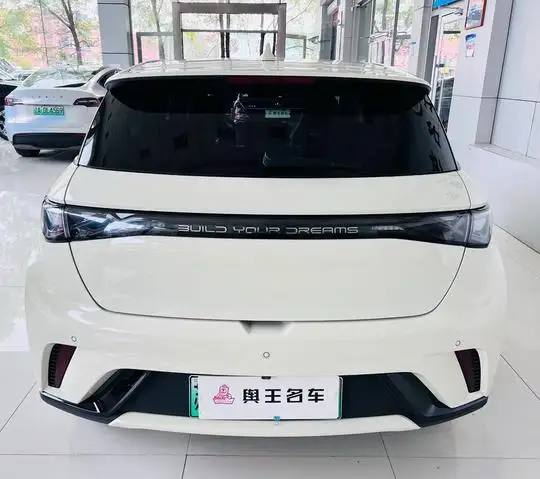 BYD Dolphin 2024 Model Honor Edition 420km Fashion Edition – фото 6