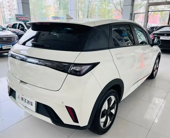 BYD Dolphin 2024 Model Honor Edition 420km Fashion Edition – фото 7