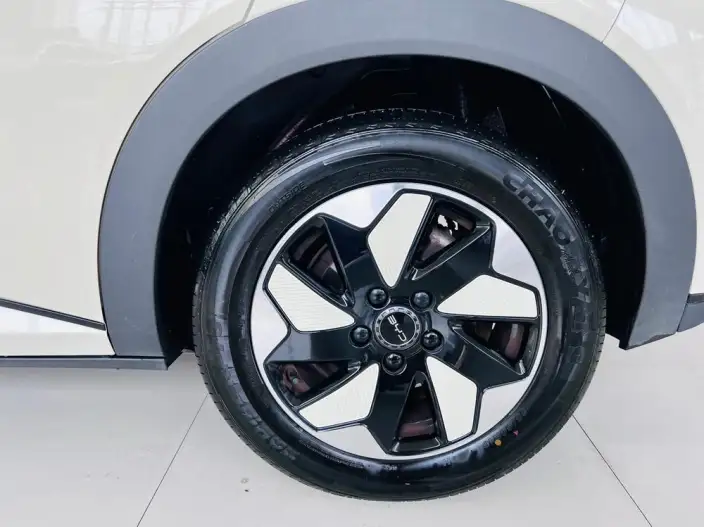 BYD Dolphin 2024 Model Honor Edition 420km Fashion Edition – фото 8
