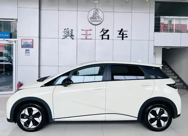 BYD Dolphin 2024 Model Honor Edition 420km Fashion Edition – фото 10
