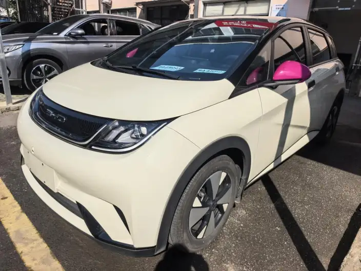 BYD Dolphin 2023 Model Free Edition