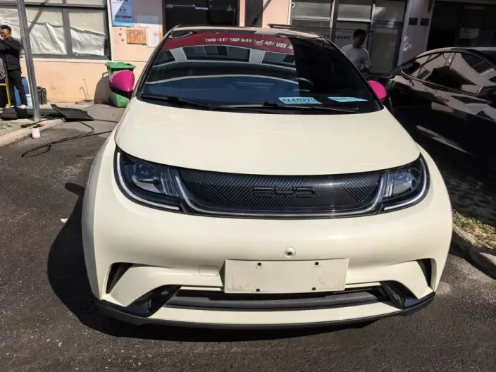 BYD Dolphin 2023 Model Free Edition