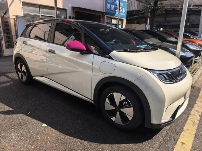 BYD Dolphin 2023 Model Free Edition