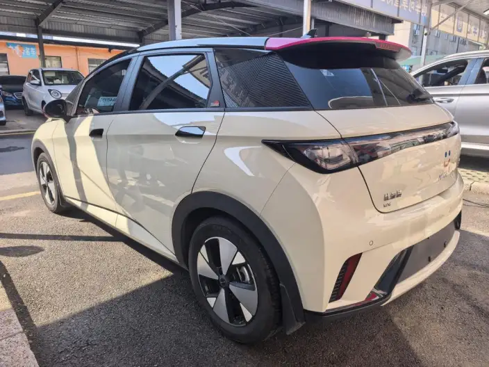 BYD Dolphin 2023 Model Free Edition