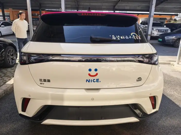 BYD Dolphin 2023 Model Free Edition – фото 5