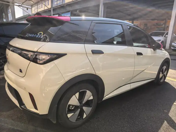 BYD Dolphin 2023 Model Free Edition – фото 6