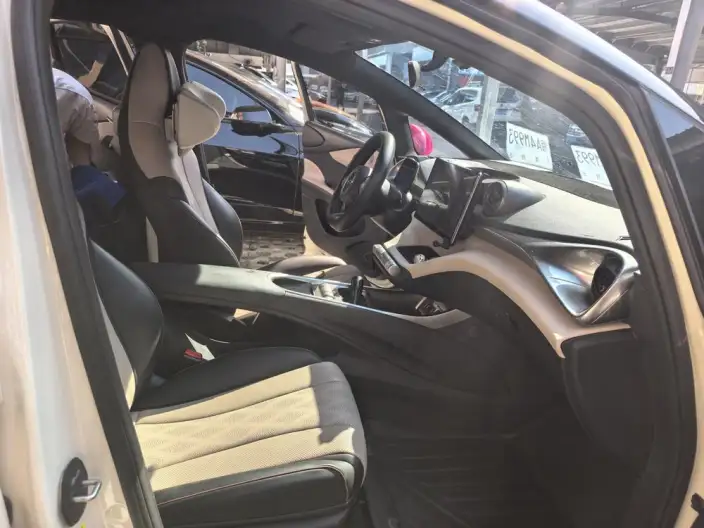 BYD Dolphin 2023 Model Free Edition – фото 7