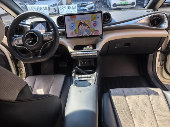 BYD Dolphin 2023 Model Free Edition – фото 8