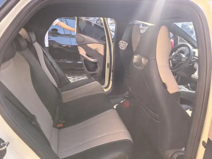 BYD Dolphin 2023 Model Free Edition – фото 9