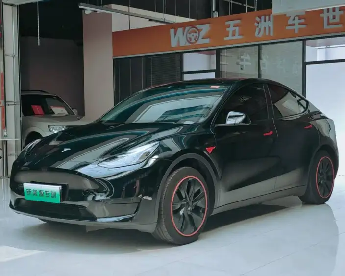 Model Y 2023 Model Rear-wheel drive version – фото 1