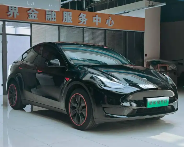 Model Y 2023 Model Rear-wheel drive version – фото 3