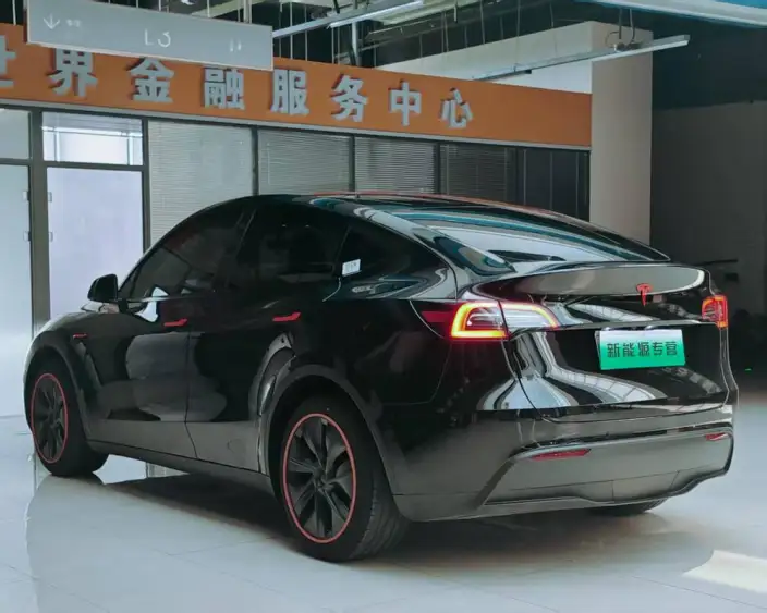 Model Y 2023 Model Rear-wheel drive version – фото 4