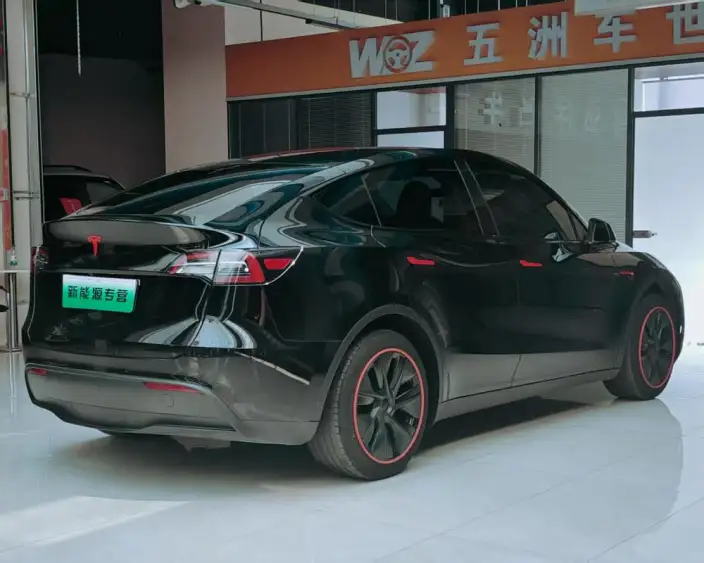 Model Y 2023 Model Rear-wheel drive version – фото 6