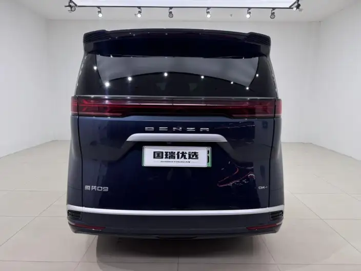 DENZA D9 DM 2022 Model 1040 Noble Model – фото 5