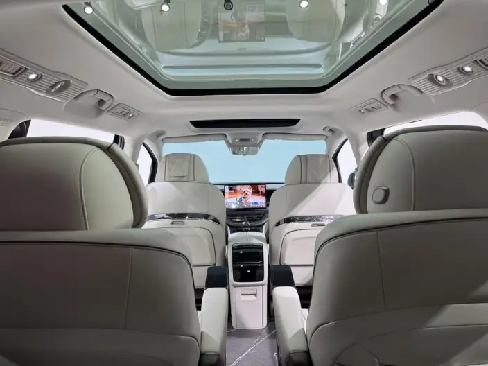 DENZA D9 DM 2022 Model 1040 Noble Model – фото 7