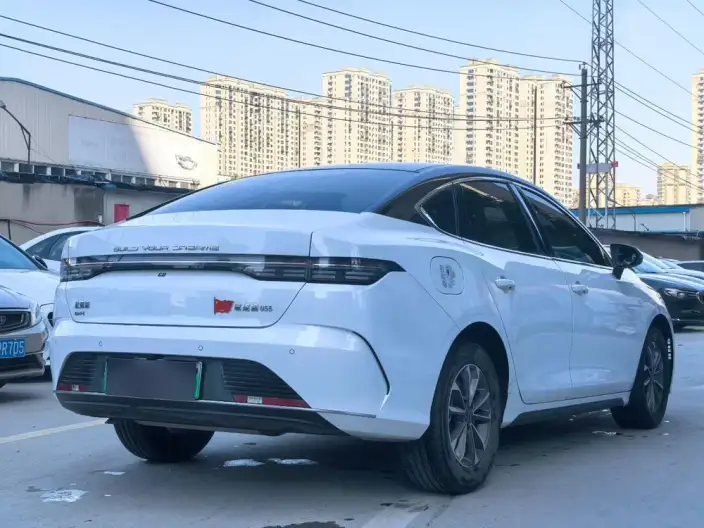 BYD Destroyer 05 2024 Model Honor Edition DM-i 55KM Luxury Model – фото 5