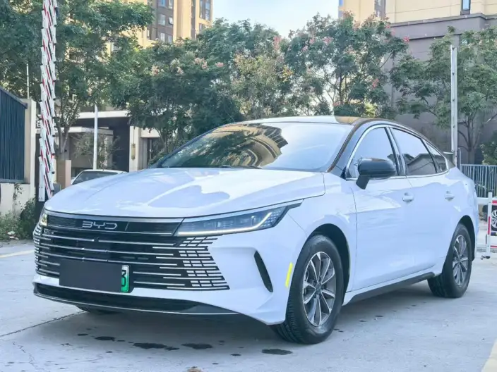 BYD Destroyer 05 2024 Model Honor Edition DM-i 55KM Luxury Model – фото 6