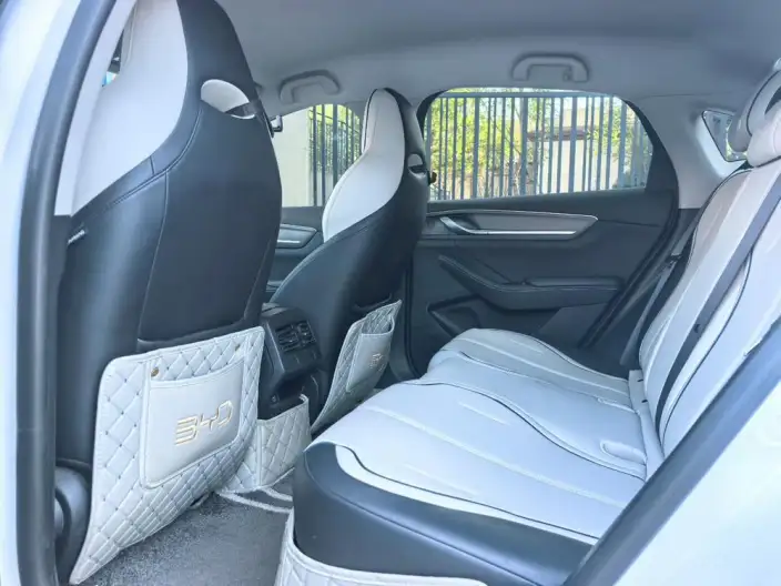 BYD Destroyer 05 2024 Model Honor Edition DM-i 55KM Luxury Model – фото 9