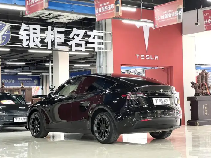Model Y 2023 Model Long Battery Life Pro All-wheel drive version – фото 5