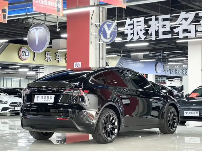 Model Y 2023 Model Long Battery Life Pro All-wheel drive version – фото 7